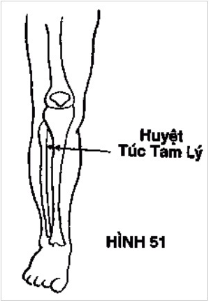 co-the-nguoi-co-1-diem-huyet-keo-dai-tuoi-xuan-va-chua-bach-benh