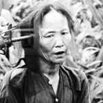 Âm vang ngày toàn quốc kháng chiến