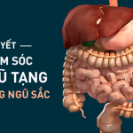 Ngũ tạng quyết định sinh mệnh: Bí quyết “vàng” về cách dưỡng tạng theo âm dương ngũ hành